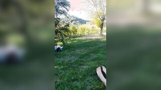 Rossa italiana piedi al parco