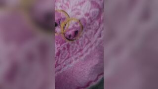 Buongiorno dalla mia porca