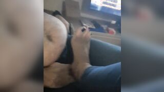 Ballbusting Schiavo pancione sfigato