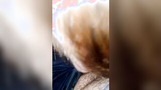 Ma quanto è brava la porca?