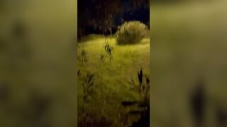 Fidanzata troia mi fa un bocchino all'aperto di notte