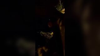 Fidanzata troia mi fa un bocchino all'aperto di notte