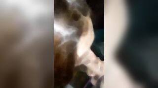 Un bocchino appassionato e rischioso sul balcone