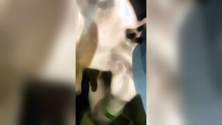 Un bocchino appassionato e rischioso sul balcone