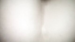 Moglie tarantina a pecora