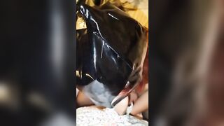 Pompino con sborrata finale sul mio culone