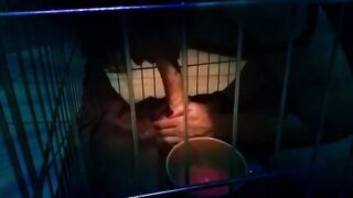 Moglie sottomessa in gabbia come una troia