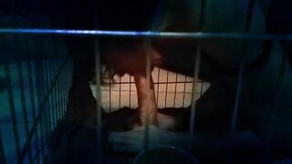 Moglie sottomessa in gabbia come una troia