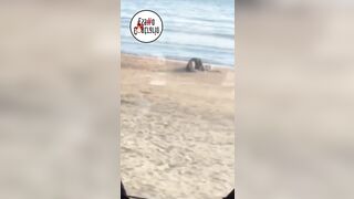 Scauri Scopata in spiaggia in pieno giorno