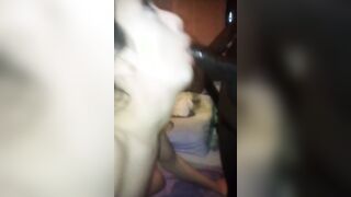 Francesca diciottenne spompina cazzo nero e si fa sborrare in bocca