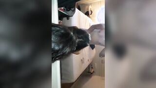 Chiavata in hotel con scopamica sposata