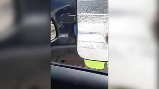 Sega sconosciuto dal finestrino