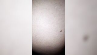 Moglie inculata da bull in macchina