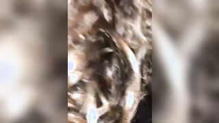 Succhialo tutto porca - Pompino teen italiana amatoriale