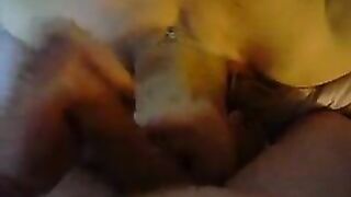 Una bella ciucciata di palle