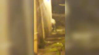 Coppia italiana filmata che fa sesso in strada di notte