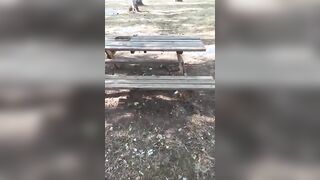 Video coppia italiana esibizionista in un parco pubblico