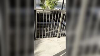 Priscilla lo prende in bocca in pubblico