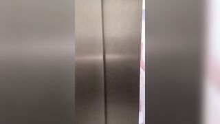 Scopata come una troia in ascensore