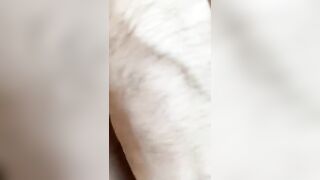 Cazzo li sento tutti e due