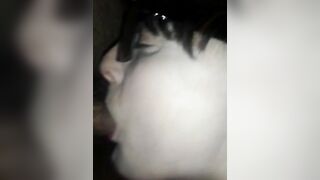 Spompina il cazzino di suo marito