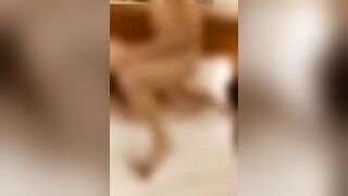 Giornalista scopata in hotel da collega