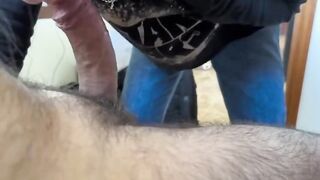 Mia moglie vuole la sborra in bocca