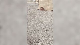 Spiaggia pubblica Trani Coppia esibizionista scopa in spiaggia