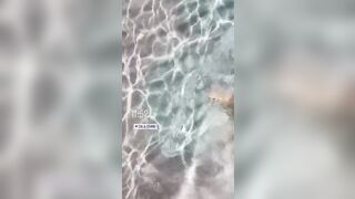 Bionda italiana fica bikini al mare IG