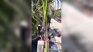 Vuoi venirmi in bocca? Bocchino moglie italiana outdoor