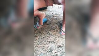 Mare , pineta di Eboli