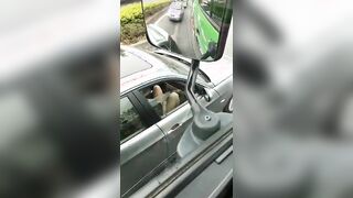 Ditalino esibizionista in macchina