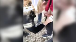 Fottetemi forte stronzi - Ragazza italiana scopata all'aperto da 4 ragazzi