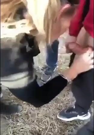 Fottetemi forte stronzi - Ragazza italiana scopata all'aperto da 4 ragazzi