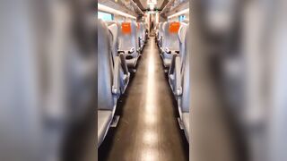 Ragazza italiana mostra le tette in treno al controllore