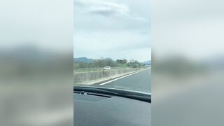 Priscilla Salerno si spogli mentre guida e esce le tettone