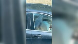 Beccati da camionista Lei gli fa un pompino in macchina