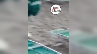 SAN BENEDETTO DEL TRONTO Coppia scopa liberamente in spiaggia