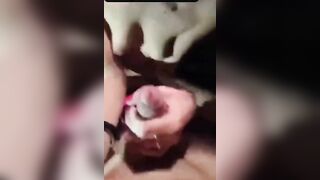 Car sex coppia barese Pompino in macchina