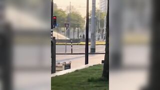 Coppia ripresa per strada che fa sesso