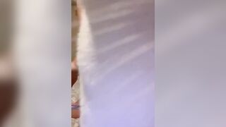 La micina tettona e il gattino