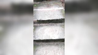 Quando passa lei gli uccelli tirano