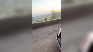 Scopata a pecora fuori dalla macchina