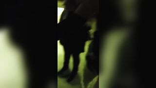 Ragazzo italiano si fa fare un pompino in disco davanti agli amici