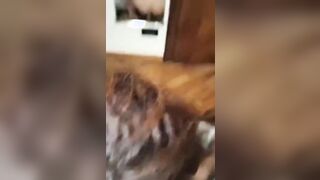 Pompino fidanzata italiana con dildo in fica allo specchio