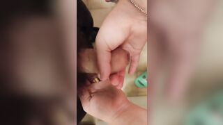 Mi monto il latte fresco per colazione