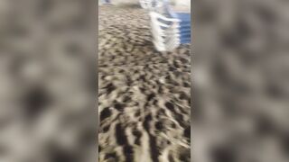 Troia italiana spompina due ragazzi in spiaggia