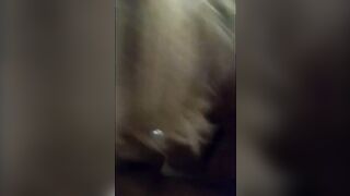 Troia napoletana fa un pompino al suo amante