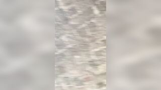 Alla scoperta di maialate