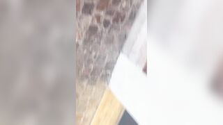 Alla scoperta di maialate